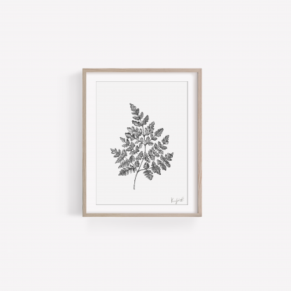 Fern Leaf Art Print